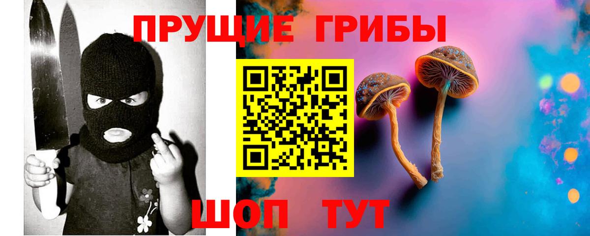 Галлюциногенные грибы прущие грибы Дивногорск